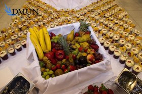 20110410-Diplomatenball-QE-44.jpg