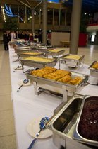 20110410-Diplomatenball-QE-48.jpg